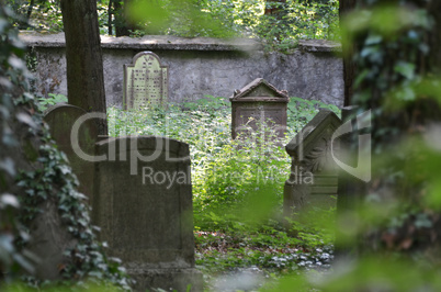 jüdischer Friedhof