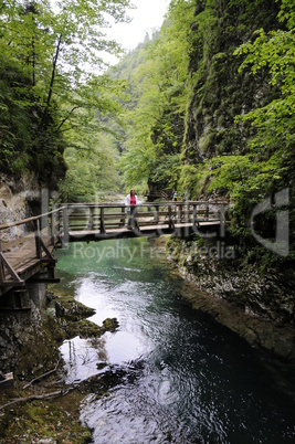 Vintgar Canyon, Slowenien