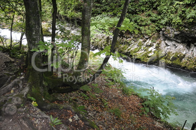 Vintgar Canyon, Slowenien