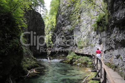 Vintgar Canyon, Slowenien