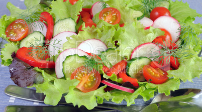 Summer salad of fresh vegetables