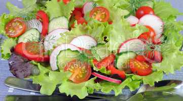 Summer salad of fresh vegetables