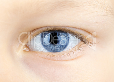 blue eye of young child