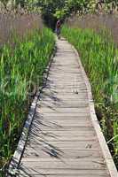 Wooden footpath