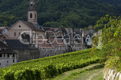 France, vineyard of Riquewihr in Alsace