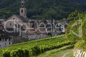 France, vineyard of Riquewihr in Alsace