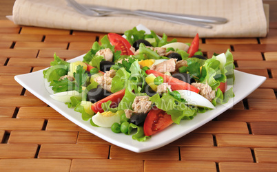 Vegetable salad with tuna and egg