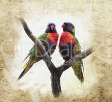 Grunge  Background With Parrots