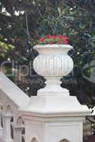 beautiful vase with red flowers on the bridge