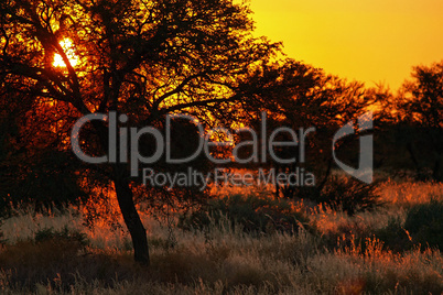 Sonnenuntergang Namibia