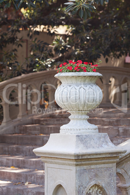 beautiful vase with red flowers on the bridge