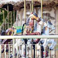 old carousel with horses