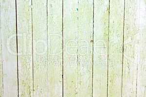 Weathered white wood