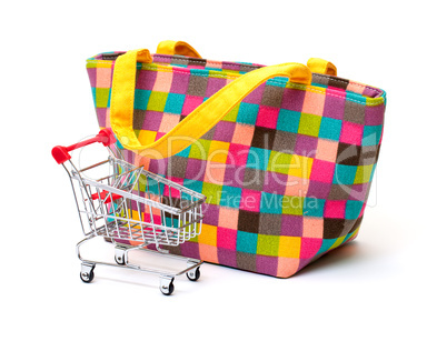Vibrant Cloth Ladies Handbag with Shopping Cart
