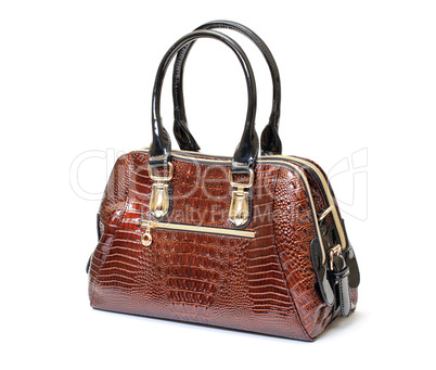 Brown Leather Ladies Handbag