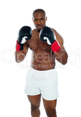 African boxer in an aggressive pose