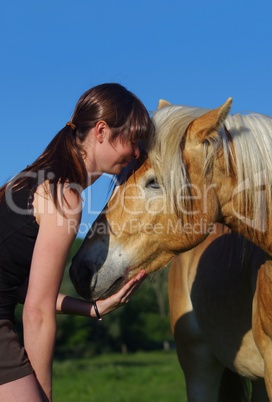 Pferde Friesen in der Natur mit Frau und Reiterin