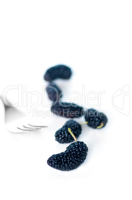 fresh ripe mulberry over white