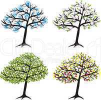 season tree for winter, spring, summer, autumn