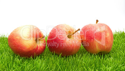 Red Apples on Grass...