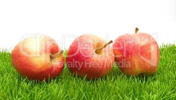 Red Apples on Grass...