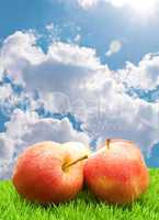 Red Apples on Grass.