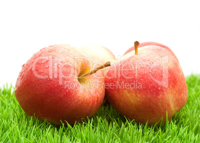 Red Apples on Grass.