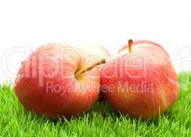 Red Apples on Grass.