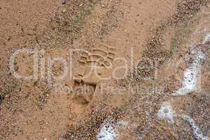 Boot imprint on the beach sand