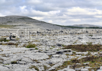 The Burren Landscape