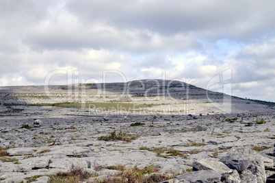 The Burren Landscape