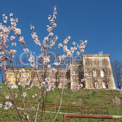 Castello di Rivoli, Italy