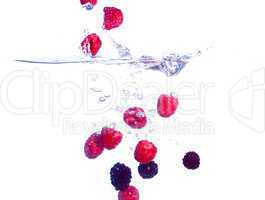 Berries Falls under Water with a Splash