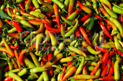Pile of fresh pepper
