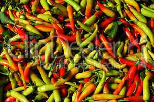 Pile of fresh pepper
