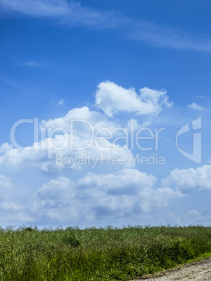 blue sky with clouds