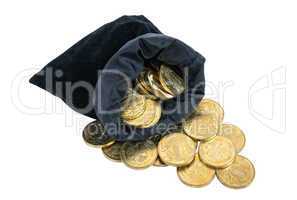 Money coins in bag