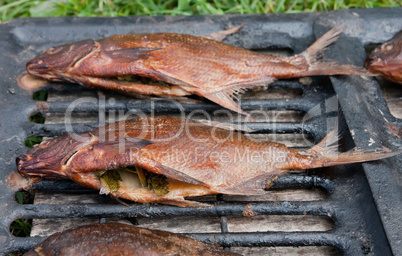 Smoked fish