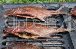 Smoked fish