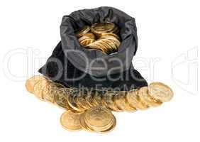 Money coins in bag isolated on white