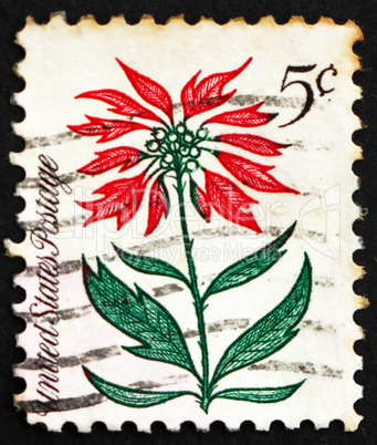 Postage stamp USA 1964 Poinsettia, Christmas Star
