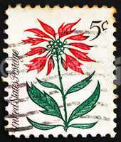 Postage stamp USA 1964 Poinsettia, Christmas Star