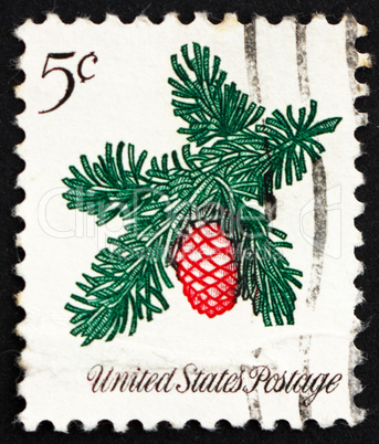 Postage stamp USA 1964 Sprig of Conifer, Christmas