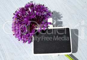 Tafel Schild lila Allium