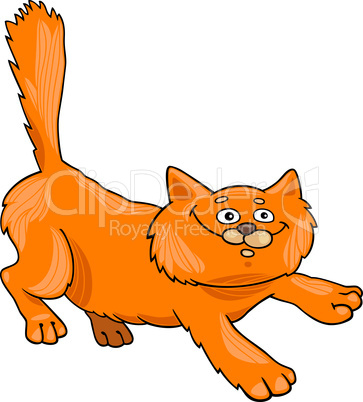 running red fluffy cat