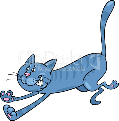 running blue tabby cat