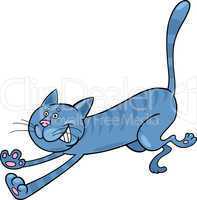 running blue tabby cat