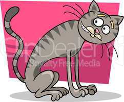 thin gray tabby cat