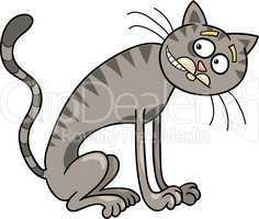 thin gray tabby cat