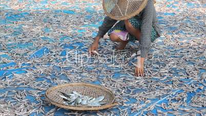 Woman turning dry fish